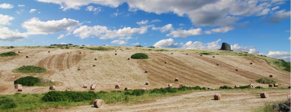 Autorizzazione paesaggistica Sardegna